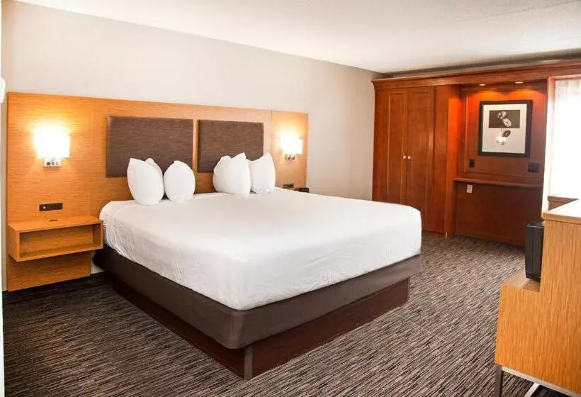 اتاق استاندارد با تخت بزرگ, Mainstay Suites Springfield Il