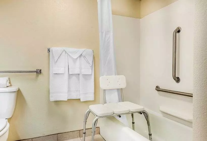 Standard-huone 2 Parivuodetta, Quality Inn