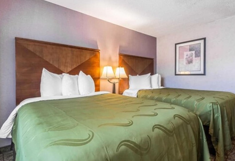 ２ダブルベッドのスタンダードルーム, The Hamburg