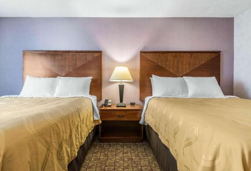 スタンダードルーム, The Hamburg