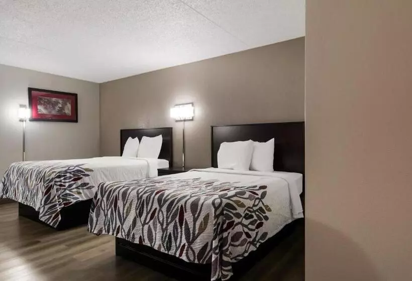 障害者適応デラックスルーム, Red Roof Inn Hartford  New Britain