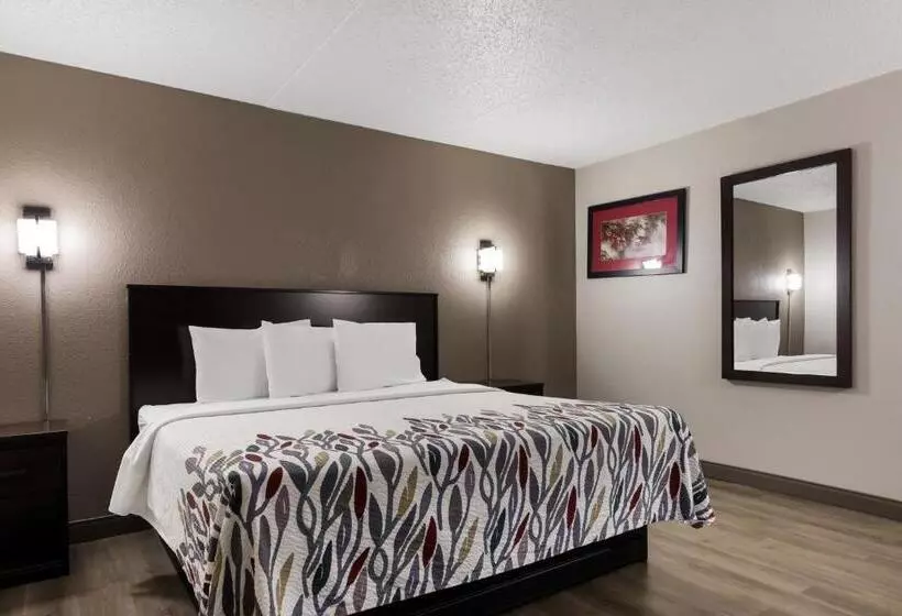 身障者適用キングサイズベッドルーム, Red Roof Inn Hartford  New Britain