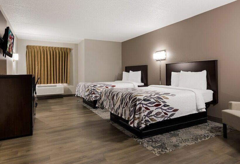 デラックスルーム, Red Roof Inn Hartford  New Britain