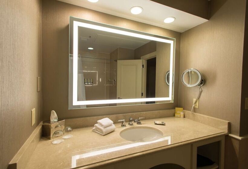 身障者適用ダブルベッド付きスタンダードルーム, The Royal Sonesta Harbor Court Baltimore