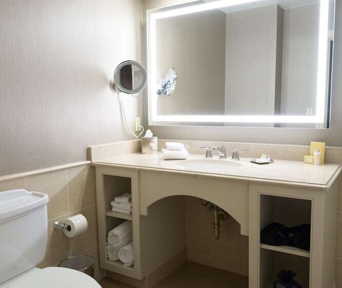 חדר סטנדרט, מיטה זוגית, מותאם לאדם עם מוגבלויות, The Royal Sonesta Harbor Court Baltimore