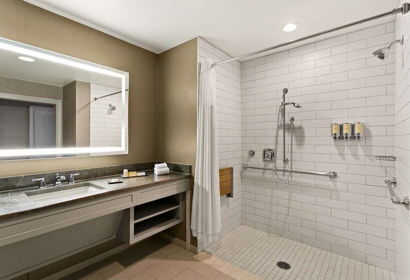 חדר סטנדרט, מיטה זוגית, מותאם לאדם עם מוגבלויות, The Royal Sonesta Harbor Court Baltimore