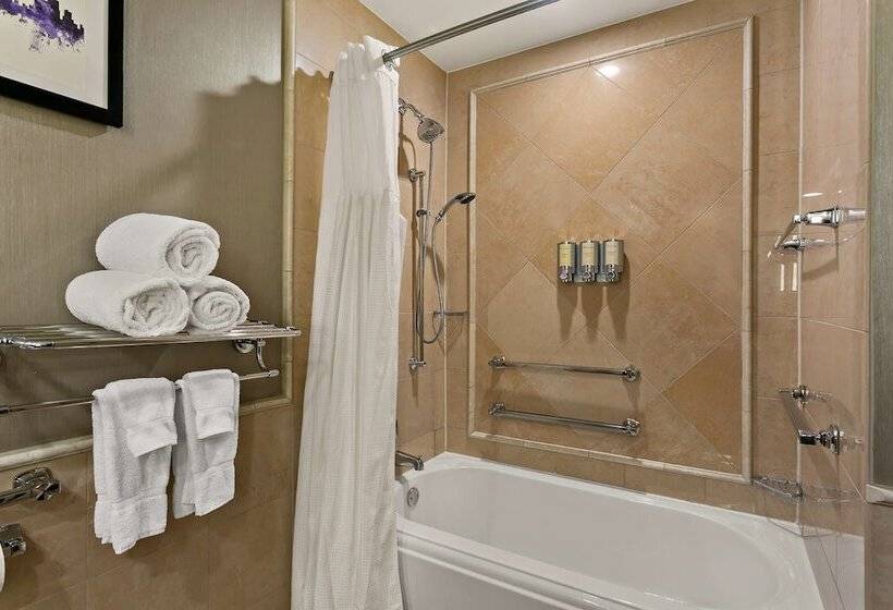 חדר סטנדרט, מיטה זוגית, מותאם לאדם עם מוגבלויות, The Royal Sonesta Harbor Court Baltimore