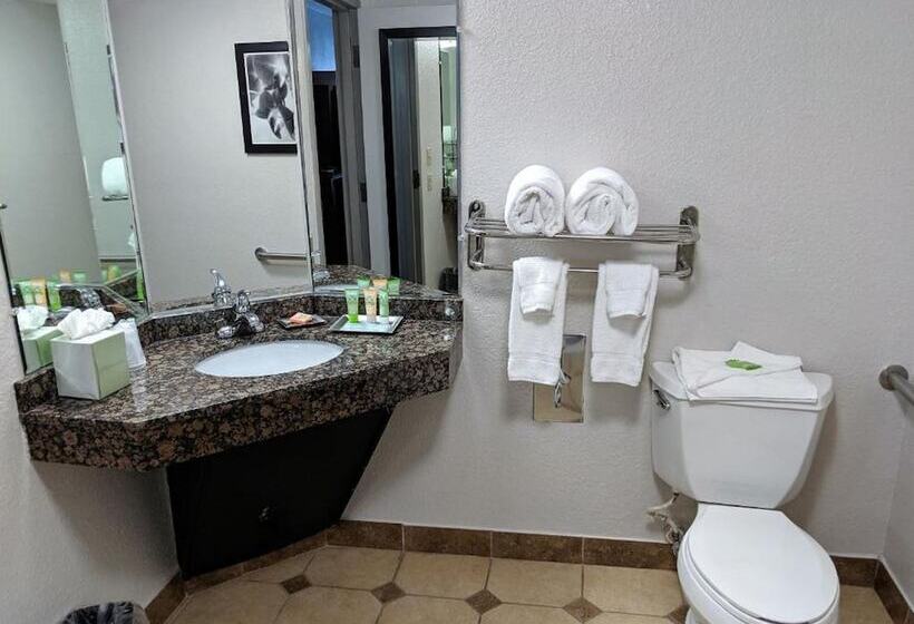 带2个双人床的标准工作室, Wyndham Garden Charlotte Airport Southeast