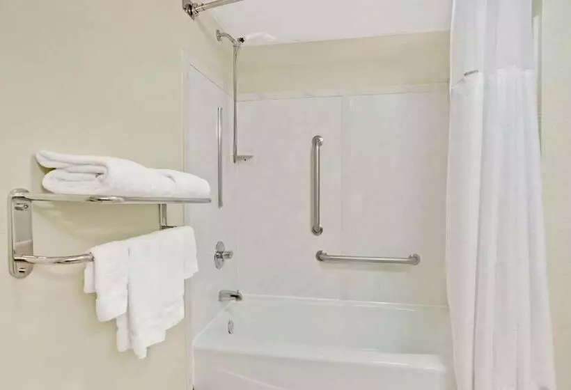 身障者適用スタンダードルーム, Wyndham Garden Charlotte Airport Southeast
