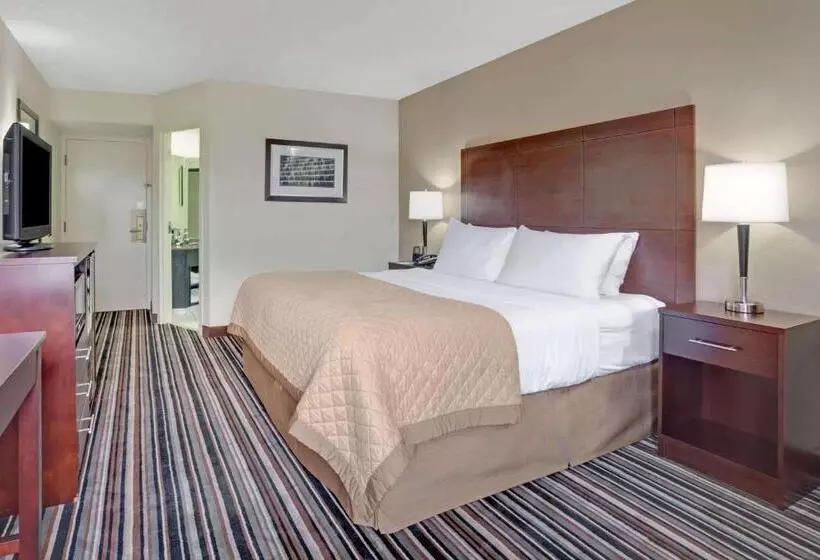 身障者適用スタンダードルーム, Wyndham Garden Charlotte Airport Southeast