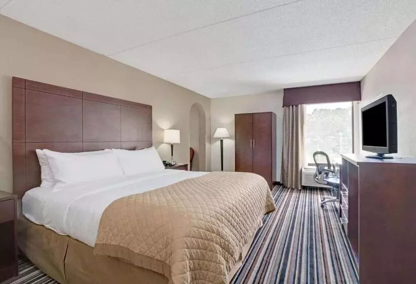 キングサイズベッドのデラックスルーム, Wyndham Garden Charlotte Airport Southeast