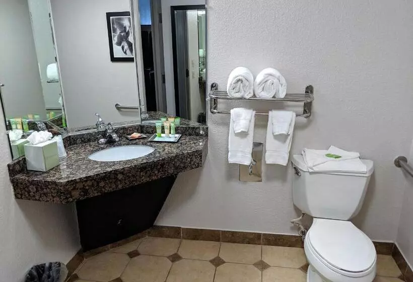 デラックススイート, Wyndham Garden Charlotte Airport Southeast