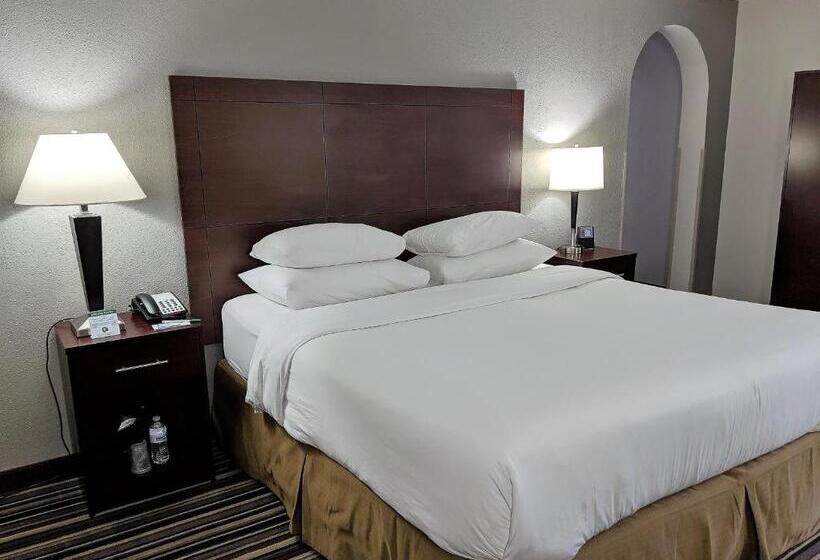 Стандартный Номер Кровать Кинг, Wyndham Garden Charlotte Airport Southeast
