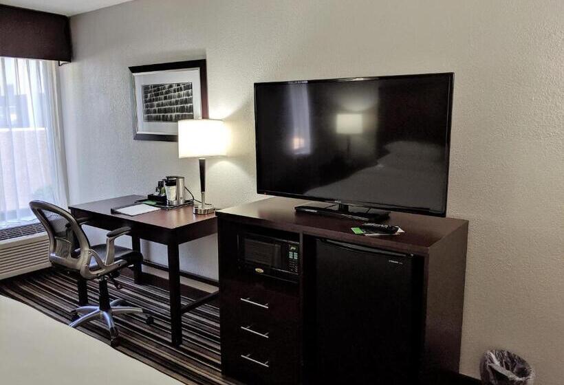 带大床的套房, Wyndham Garden Charlotte Airport Southeast