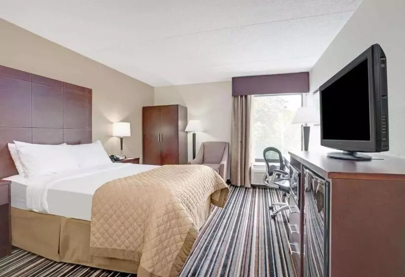 キングサイズベッドのスイートルーム, Wyndham Garden Charlotte Airport Southeast