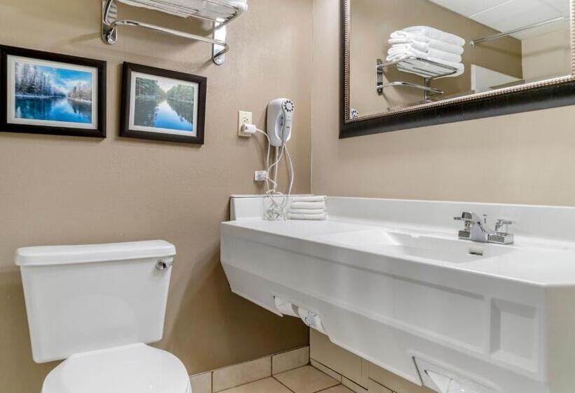 标准间, Comfort Inn