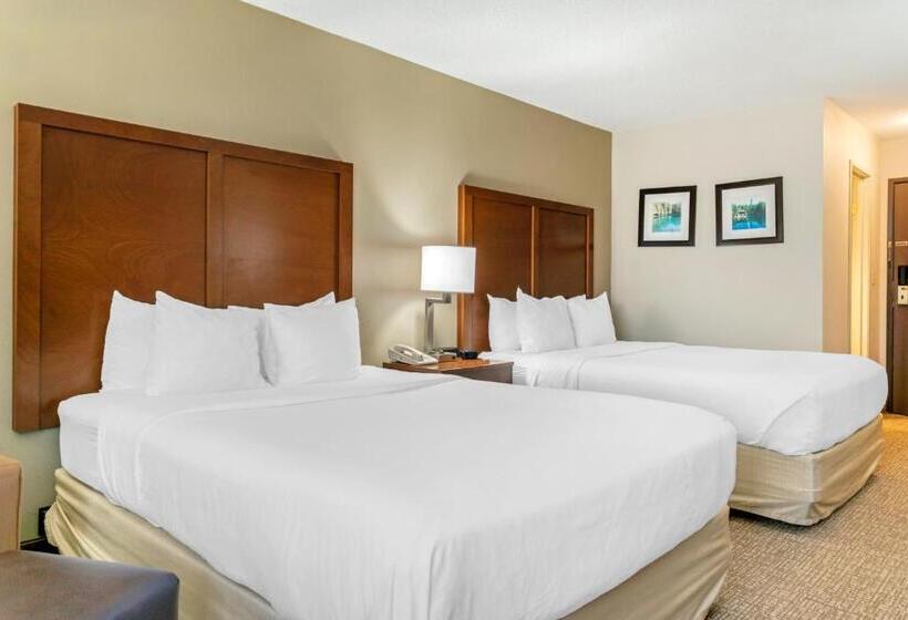 标准间, Comfort Inn