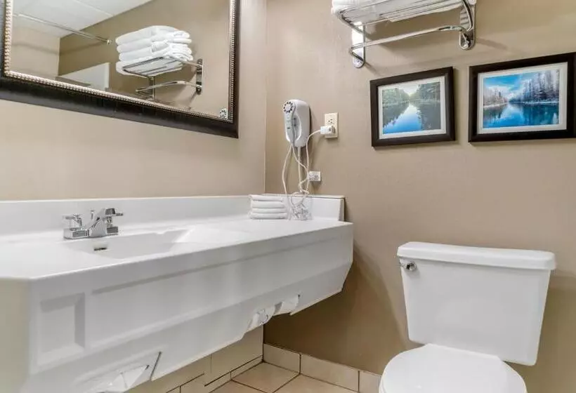 キングサイズベッドのスイートルーム, Comfort Inn