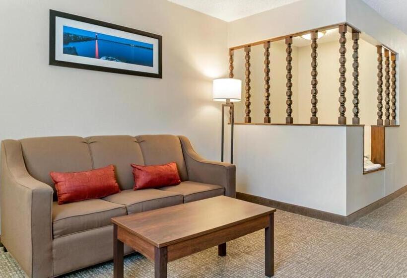 带大床的套房, Comfort Inn