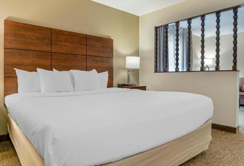 带大床的套房, Comfort Inn