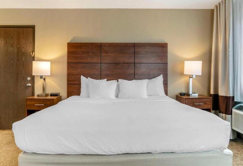 스위트 킹사이즈 침대, Comfort Inn