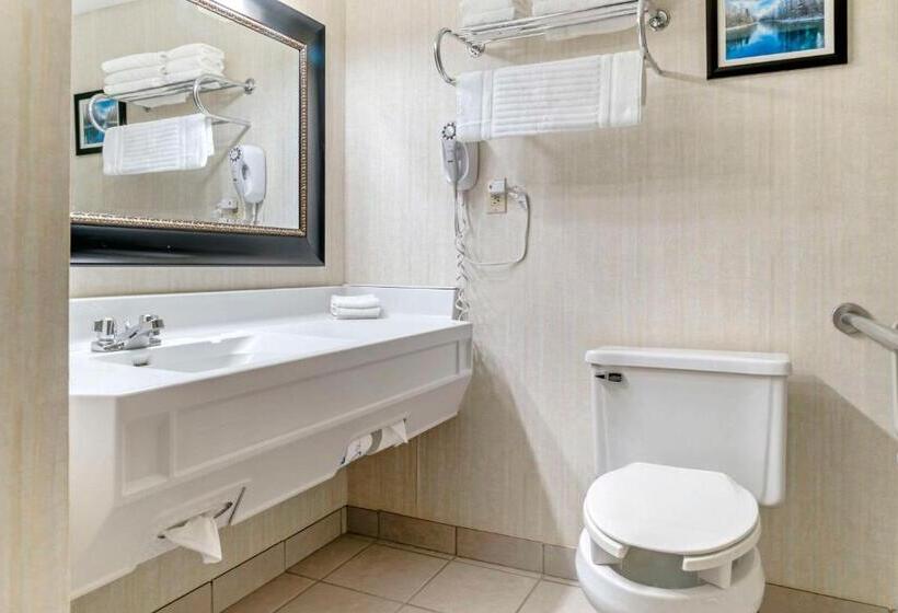 适合残疾人士使用的带超级大床的标准间, Comfort Inn