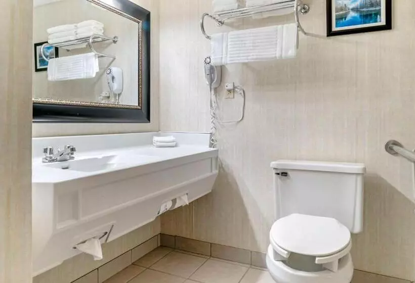 身障者適用キングサイズベッドルーム, Comfort Inn
