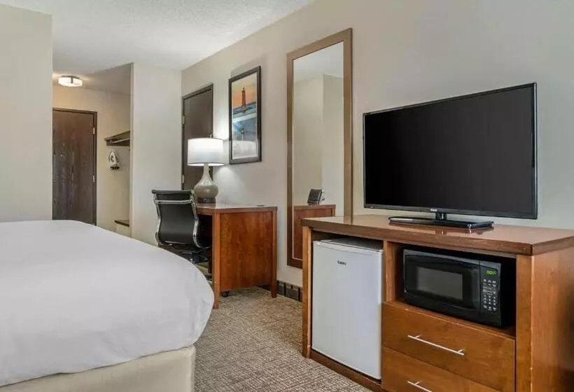 身障者適用キングサイズベッドルーム, Comfort Inn