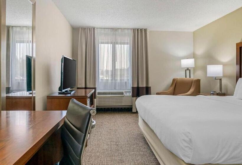 适合残疾人士使用的带超级大床的标准间, Comfort Inn