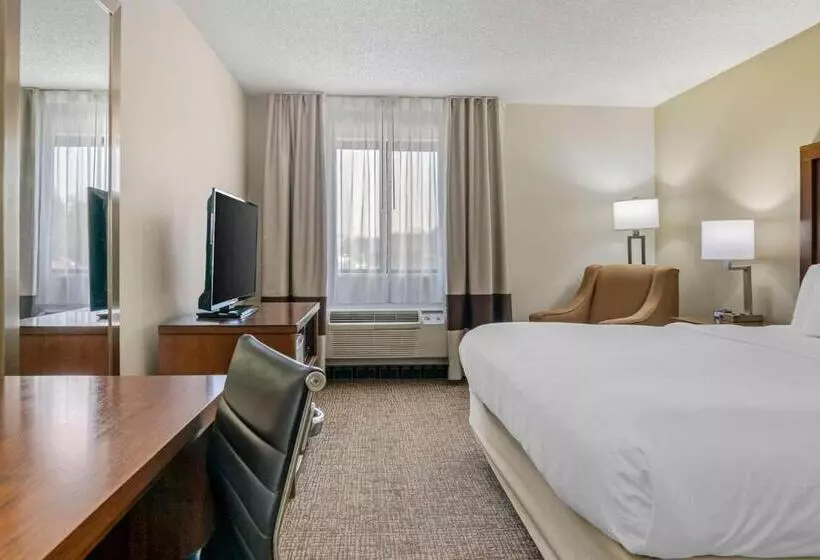 身障者適用キングサイズベッドルーム, Comfort Inn