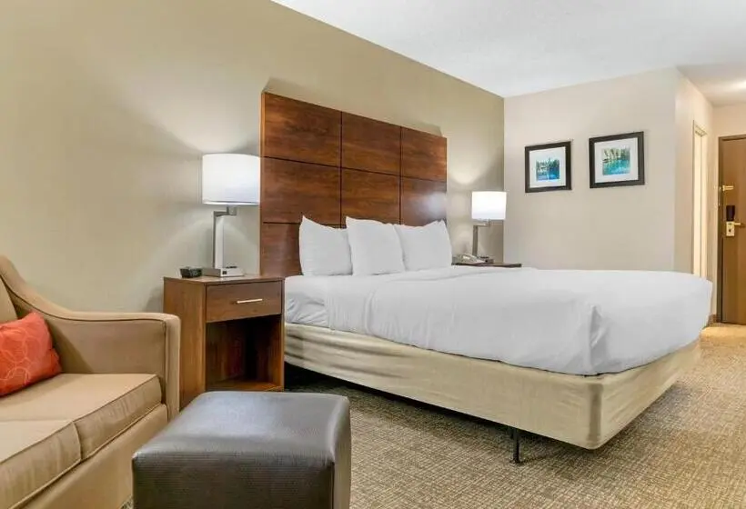 キングサイズベッドのスタンダードルーム, Comfort Inn