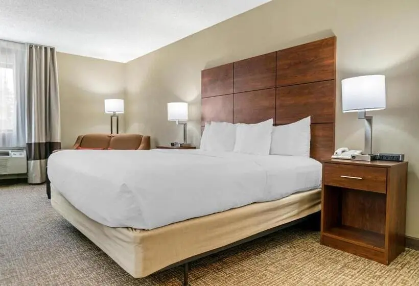 キングサイズベッドのスタンダードルーム, Comfort Inn