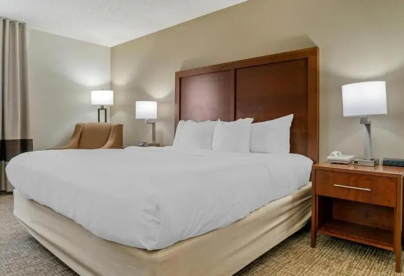 身障者適用キングサイズベッドルーム, Comfort Inn