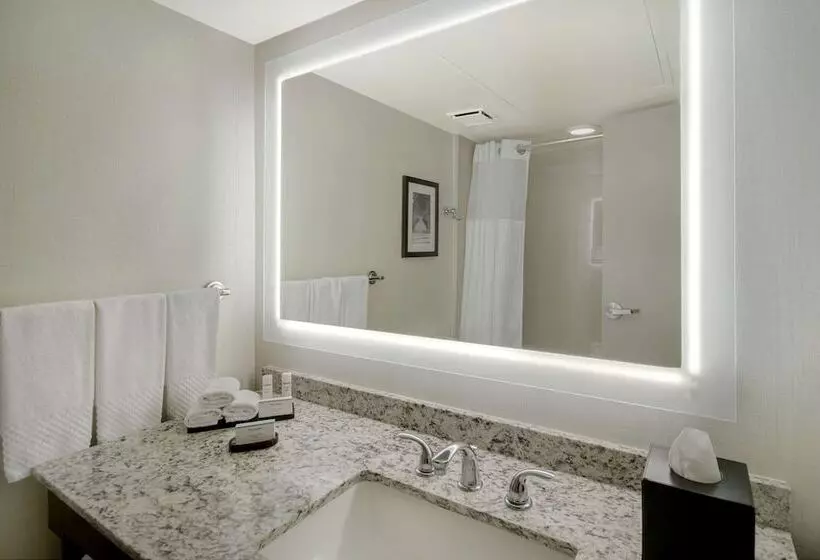 ダブルベッドスタンダードルーム, Embassy Suites By Hilton Jacksonville Baymeadows