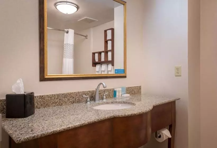 スタンダードスタジオ, Hampton Inn & Suites Jekyll Island