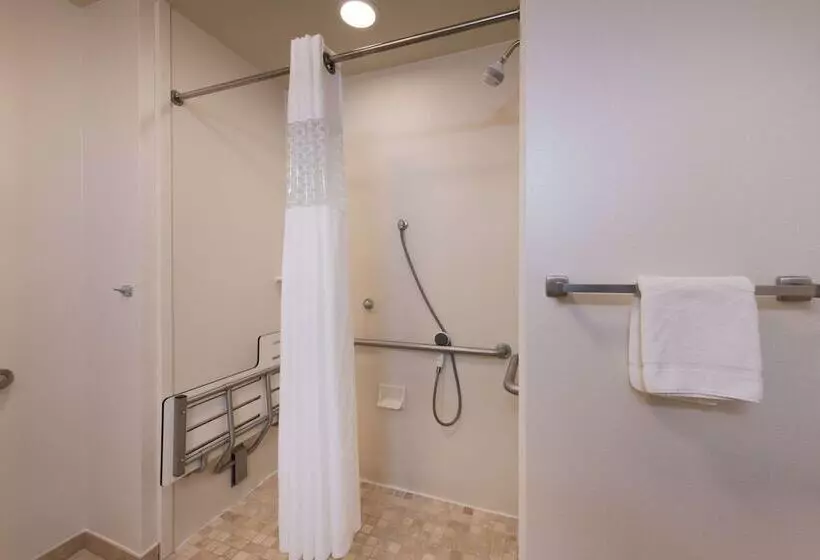 身障者適用スタンダードルーム, Hampton Inn & Suites Jekyll Island