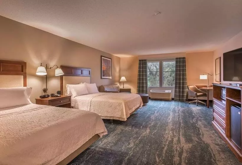 身障者適用スタンダードルーム, Hampton Inn & Suites Jekyll Island