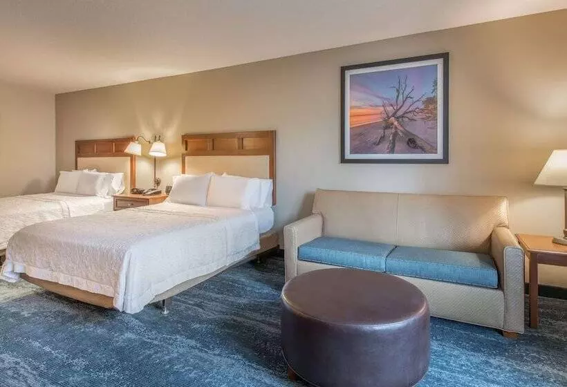 身障者適用スタンダードルーム, Hampton Inn & Suites Jekyll Island