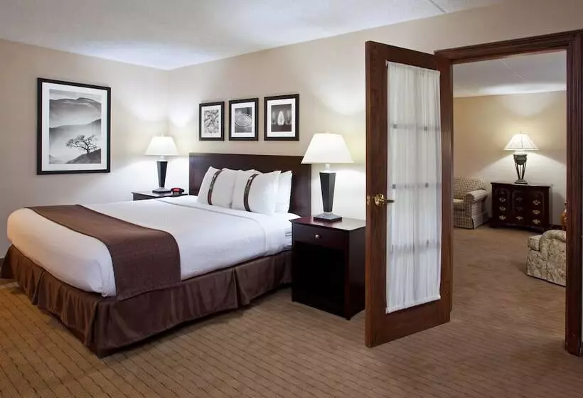 Sviitti, Holiday Inn Canton Belden Village By Ihg