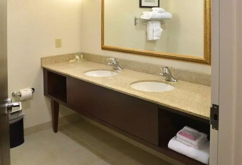 Sviitti, Holiday Inn Canton Belden Village By Ihg