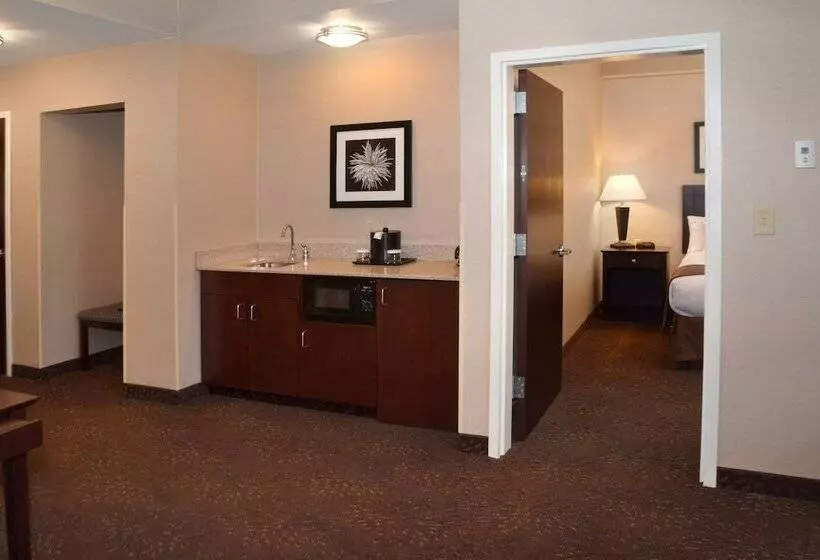 Sviitti Liikuntarajoitteisille, Holiday Inn Canton Belden Village By Ihg