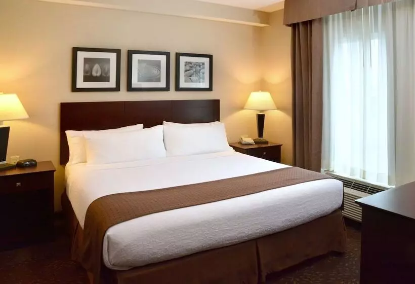 Sviitti Liikuntarajoitteisille, Holiday Inn Canton Belden Village By Ihg