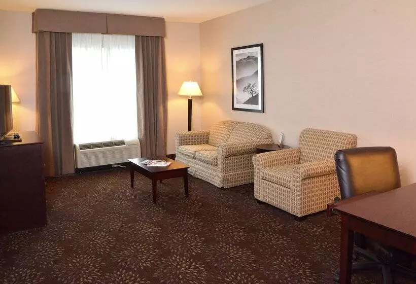 Sviitti Liikuntarajoitteisille, Holiday Inn Canton Belden Village By Ihg