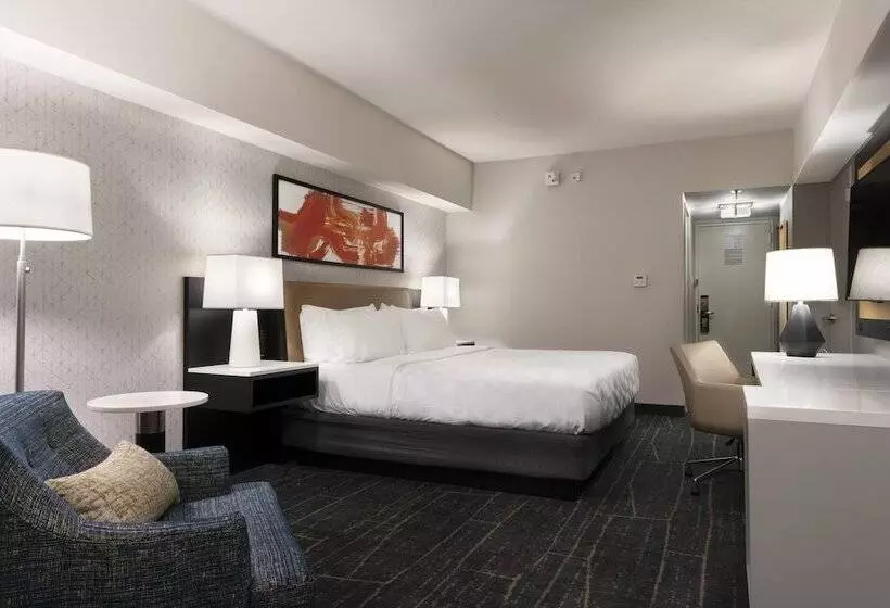 スタンダードルーム, Holiday Inn Chicago Dwtn   The Mart By Ihg