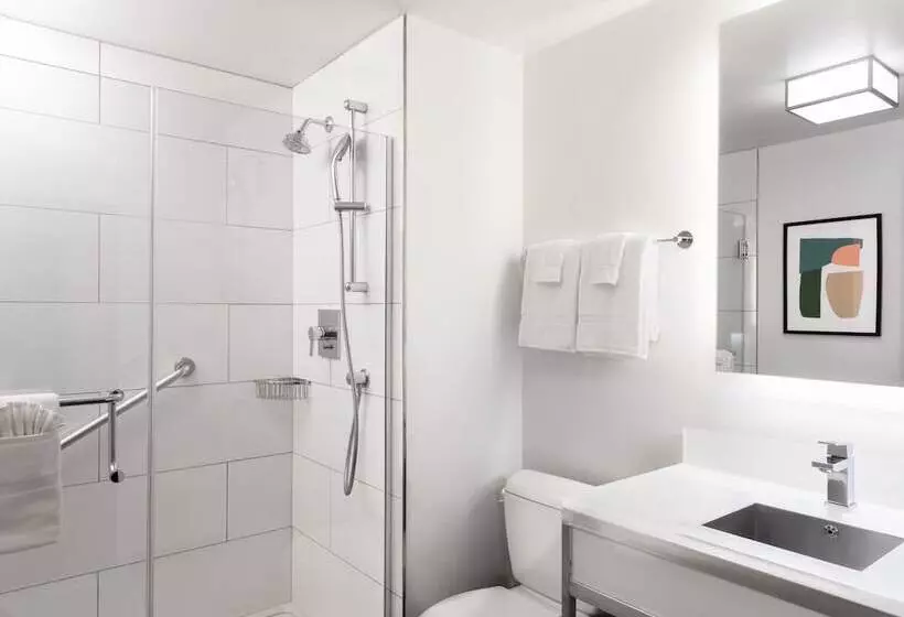 ２ダブルベッドのスタンダードルーム, Holiday Inn Chicago Dwtn   The Mart By Ihg