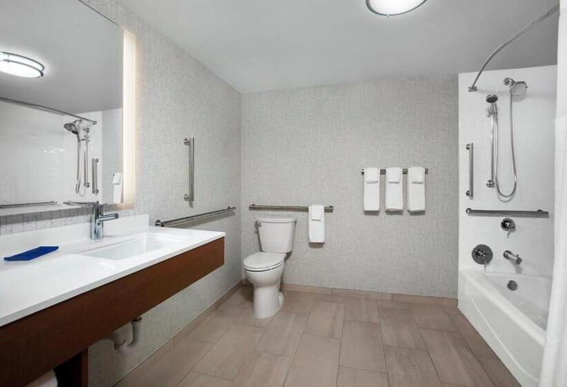 장애인을 위한 킹사이즈 침대 스탠다드 룸, Holiday Inn Express Charleston Civic Center, An Ihg