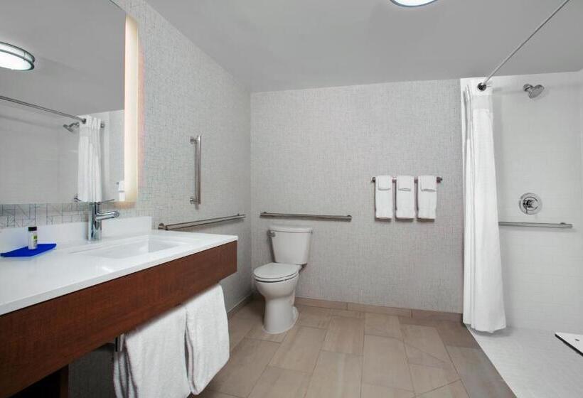장애인을 위한 킹사이즈 침대 스탠다드 룸, Holiday Inn Express Charleston Civic Center, An Ihg