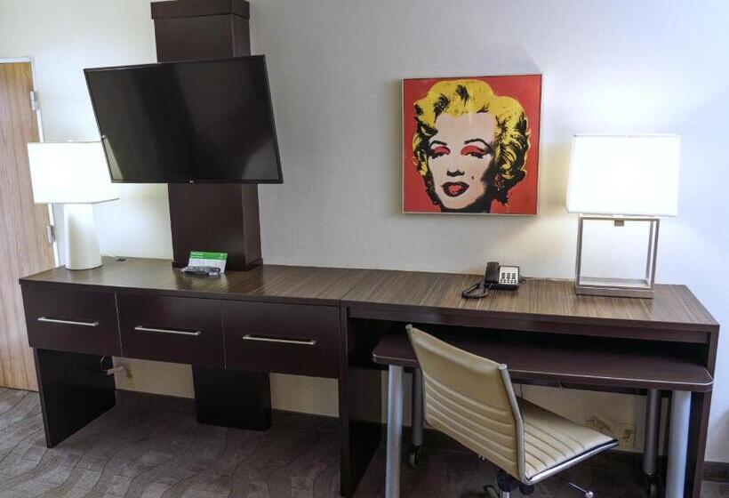 스탠다드 룸 킹사이즈 침대, Holiday Inn New Orleans Downtown Superdome, An Ihg