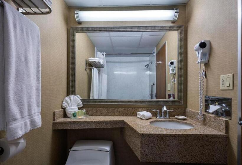 이그제큐티브 룸 킹사이즈 침대, Holiday Inn New Orleans Downtown Superdome, An Ihg