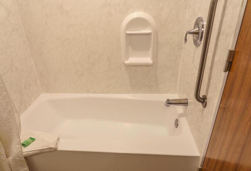 Quarto Estandar para Deficientes Físicos, Holiday Inn New Orleans Downtown Superdome, An Ihg